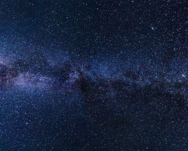 Advantages of computers in the food and beverage industry