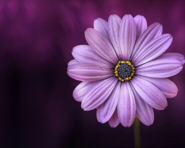 Best laptops for blogging 2019